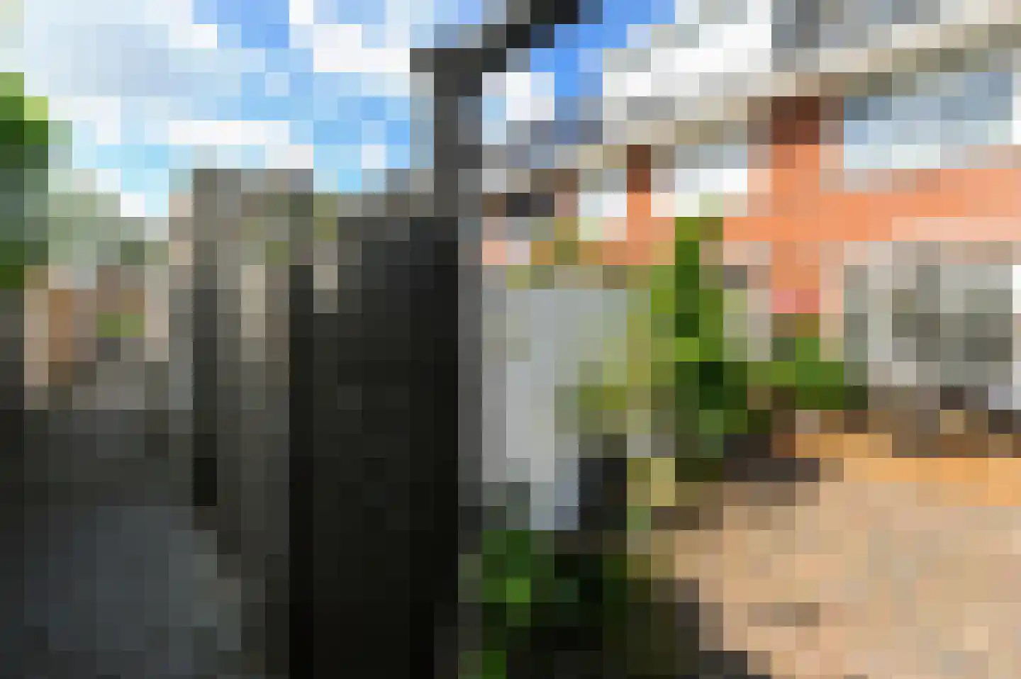 Noordeinde 28 Bleiswijk thumbnail 29