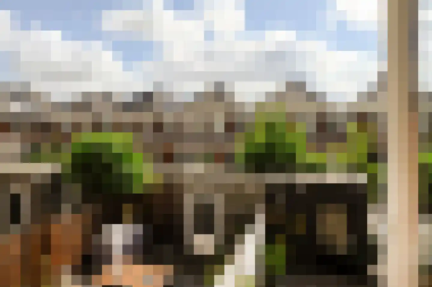 Noordeinde 28 Bleiswijk thumbnail 29