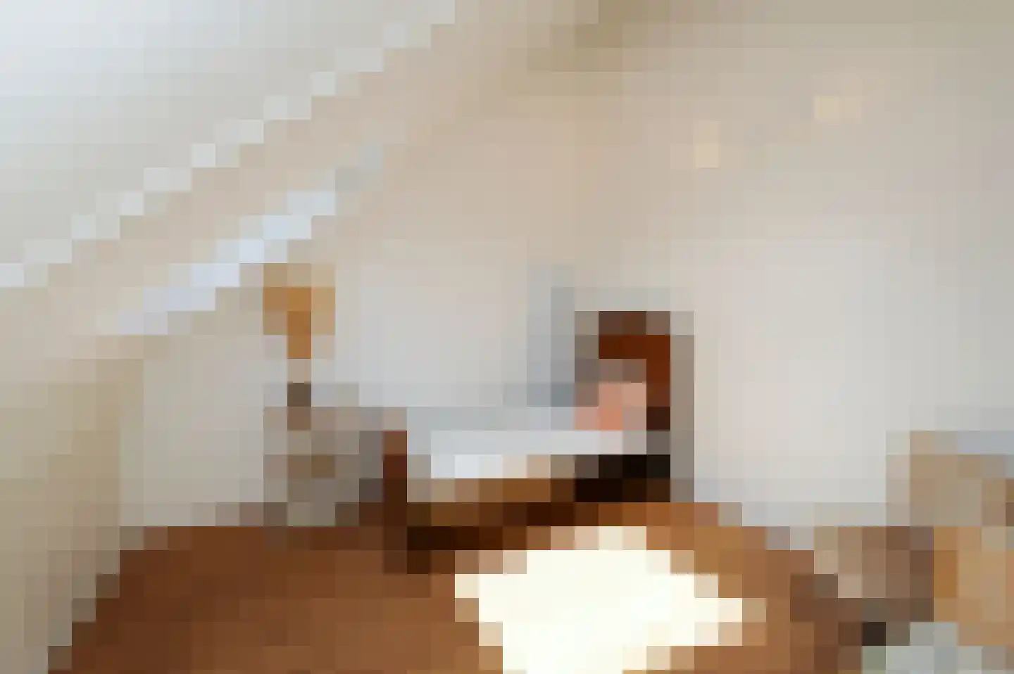 Noordeinde 28 Bleiswijk thumbnail 35