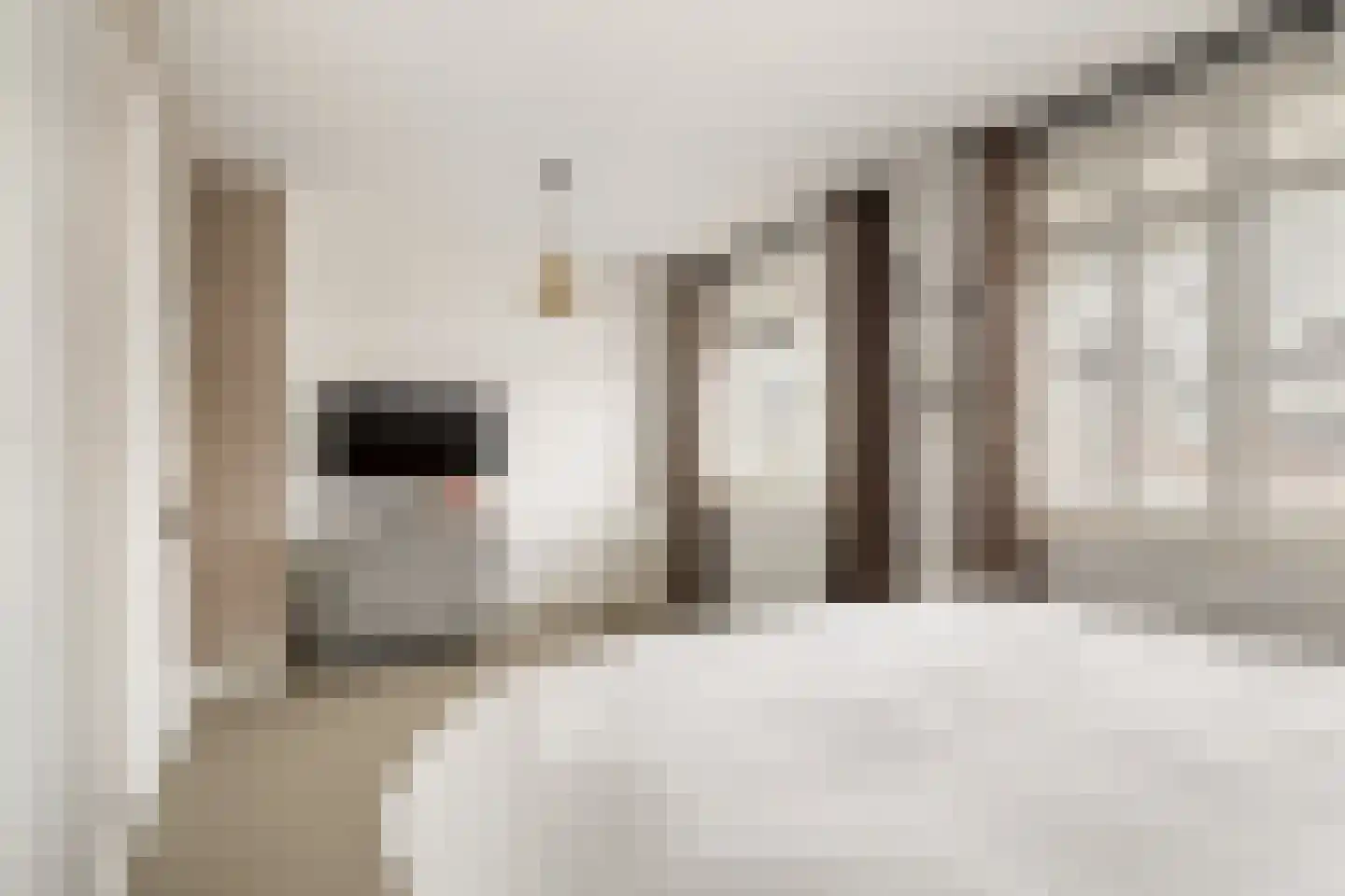 Noordeinde 28 Bleiswijk thumbnail 38