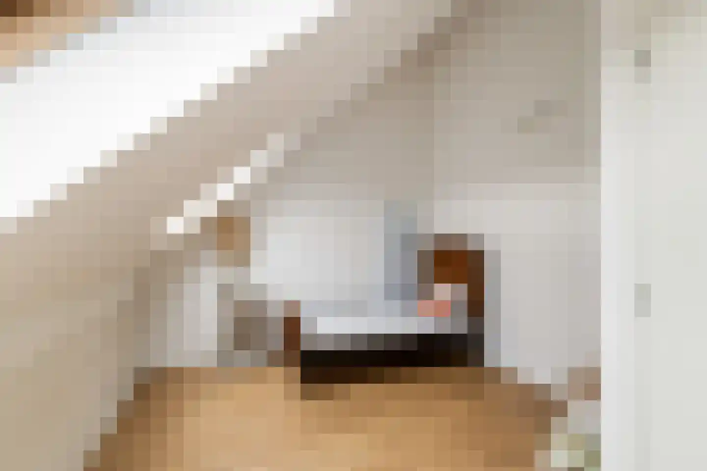 Noordeinde 28 Bleiswijk thumbnail 55