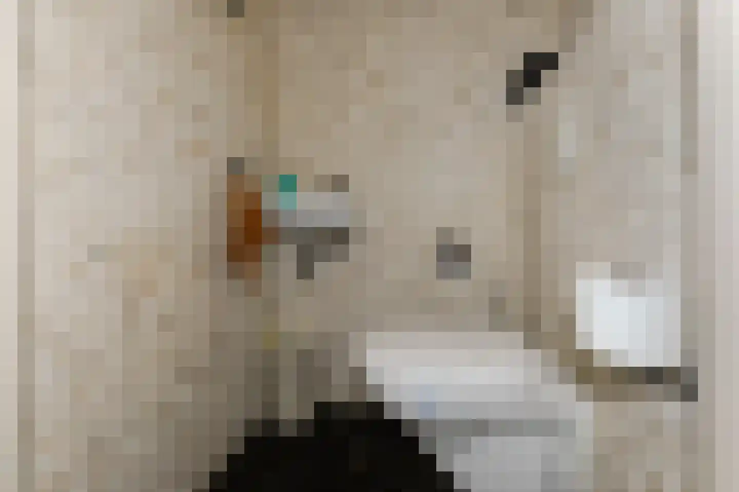 Noordeinde 28 Bleiswijk thumbnail 6