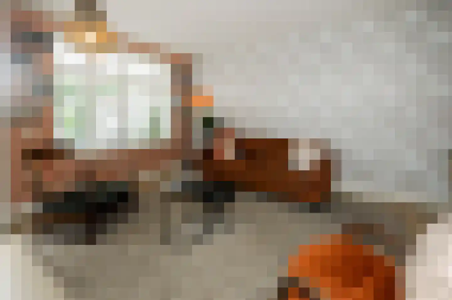 Noordeinde 28 Bleiswijk thumbnail 7