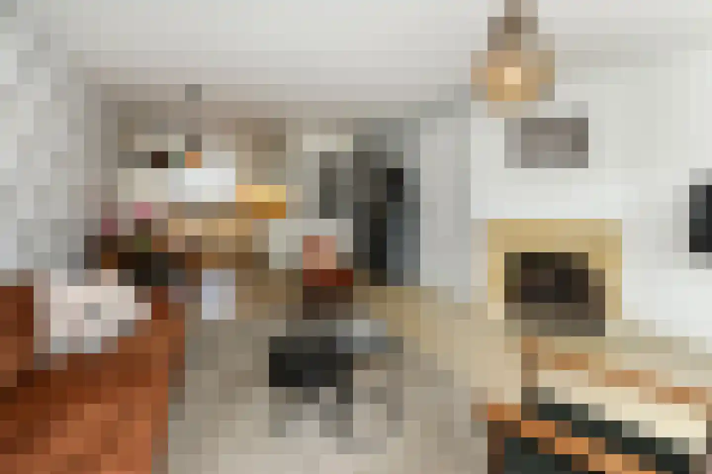 Noordeinde 28 Bleiswijk thumbnail 9