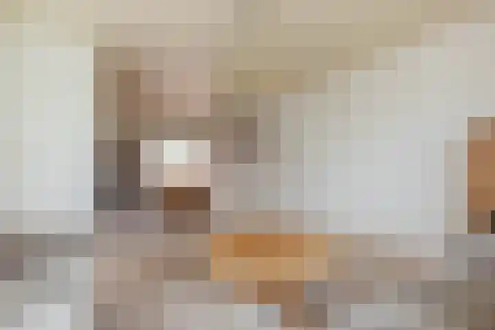 Noordeinde 28 Leimuiden thumbnail 16