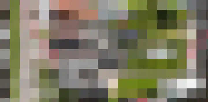 Noordeinde 28 Leimuiden thumbnail 26