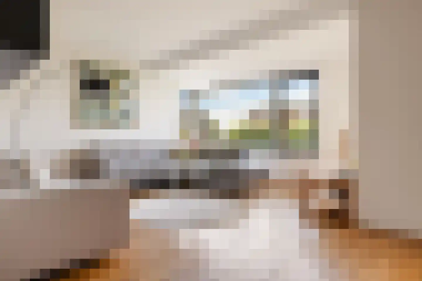 Noordeinde 28 Oostzaan thumbnail 11