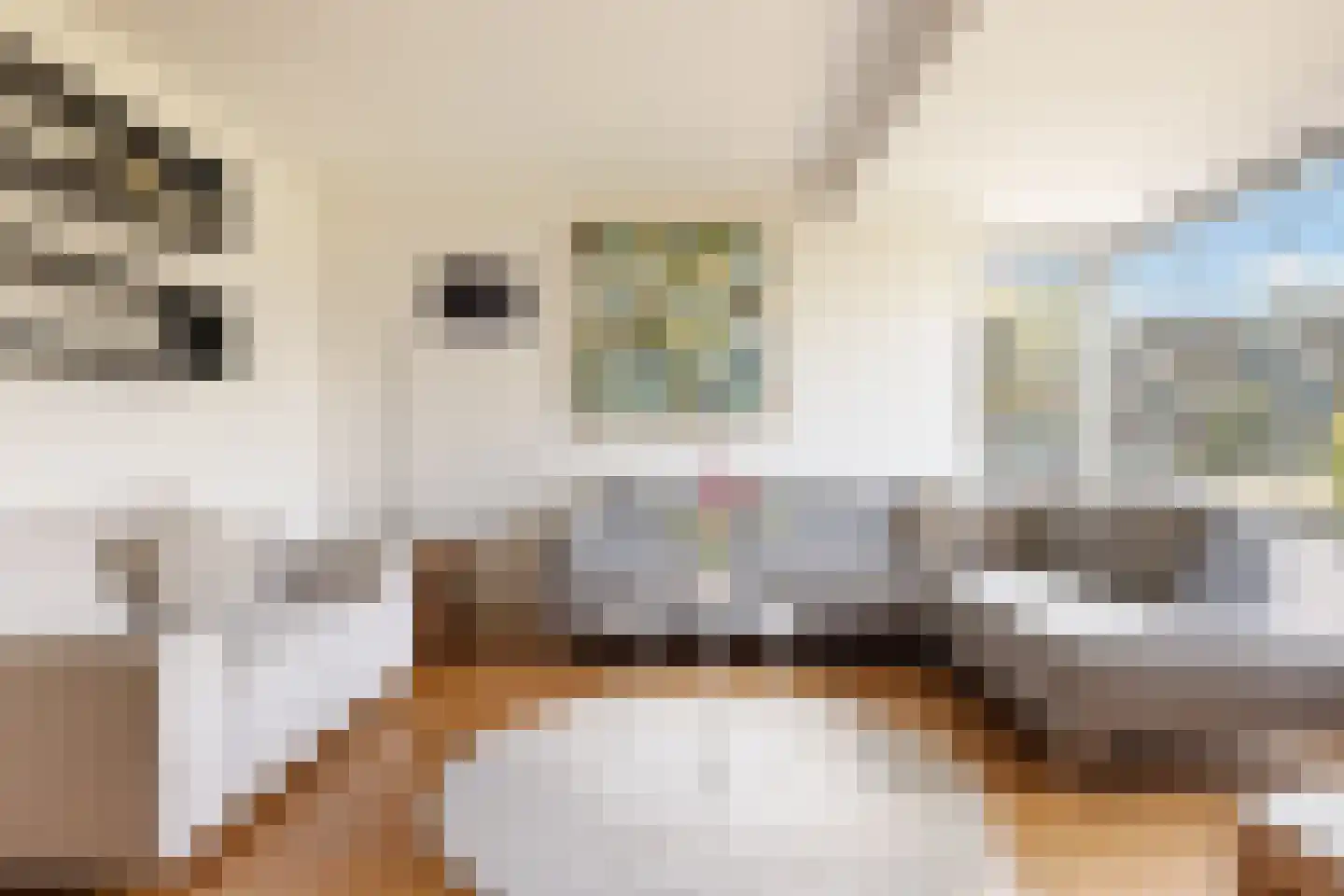 Noordeinde 28 Oostzaan thumbnail 12