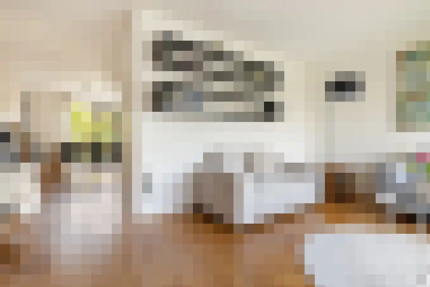 Noordeinde 28 Oostzaan thumbnail 13
