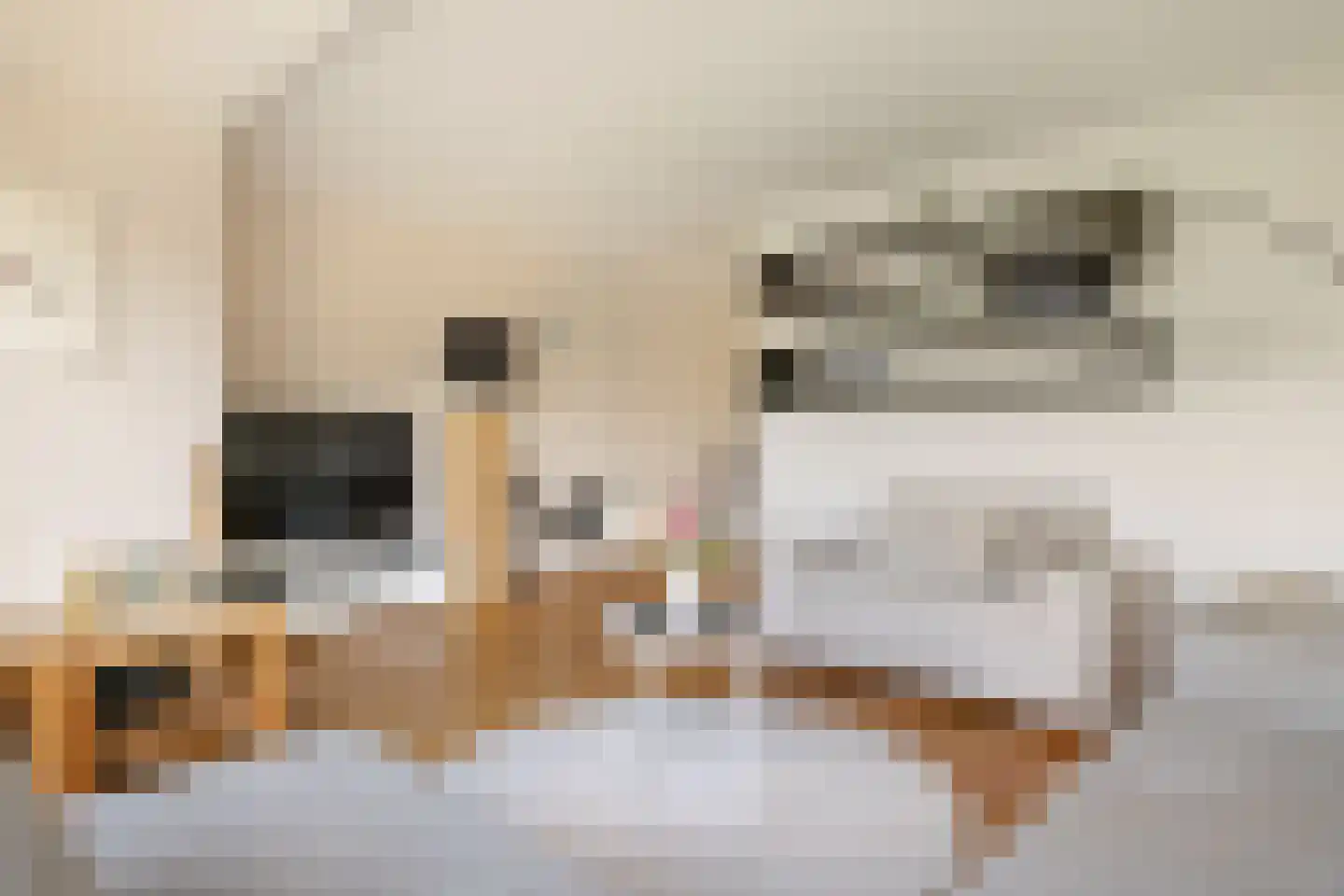 Noordeinde 28 Oostzaan thumbnail 17