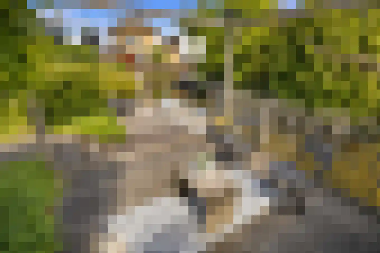 Noordeinde 28 Oostzaan thumbnail 33