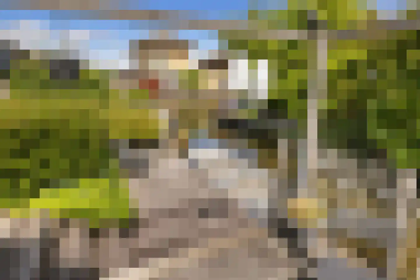 Noordeinde 28 Oostzaan thumbnail 35