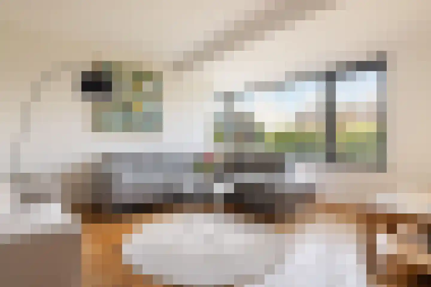 Noordeinde 28 Oostzaan thumbnail 4