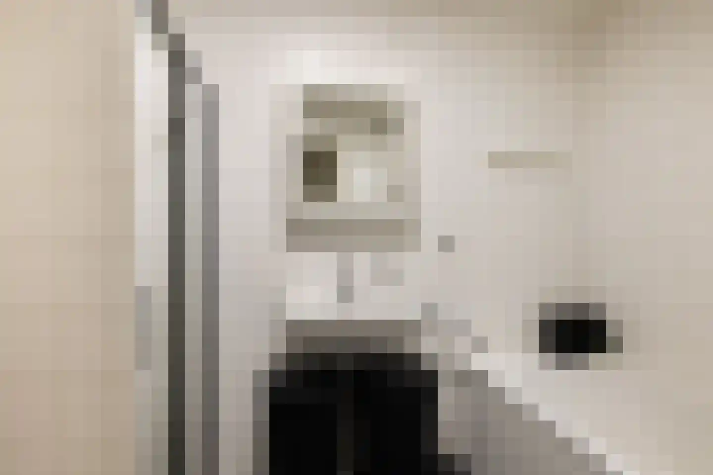 Noordeinde 28 Oostzaan thumbnail 43