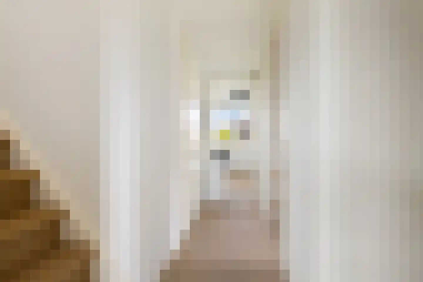Noordeinde 28 Oostzaan thumbnail 47