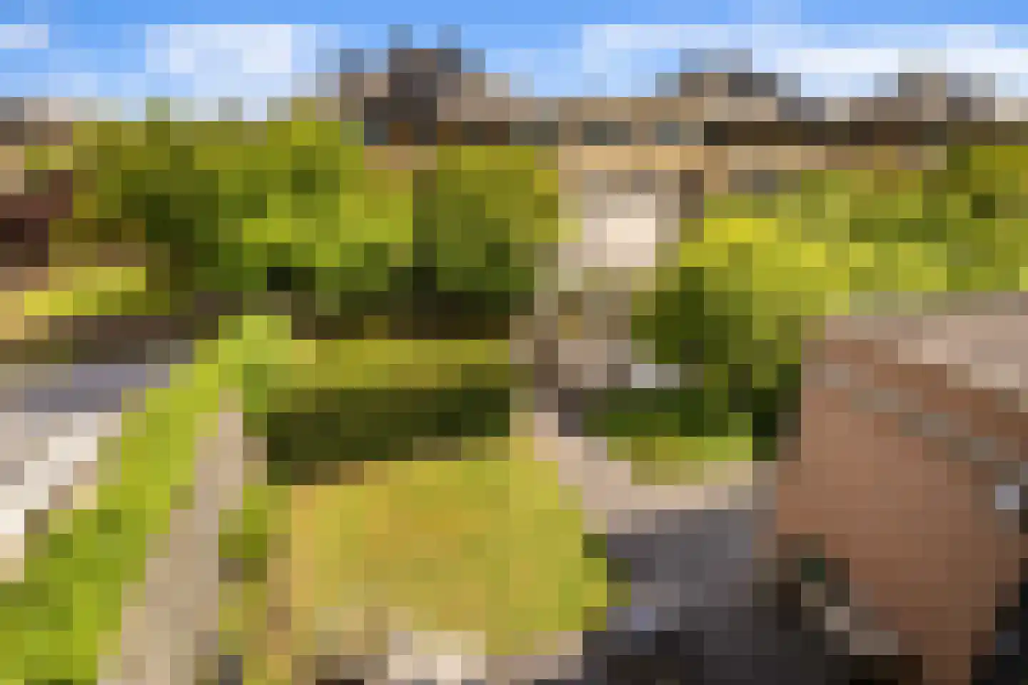 Noordeinde 28 Oostzaan thumbnail 54