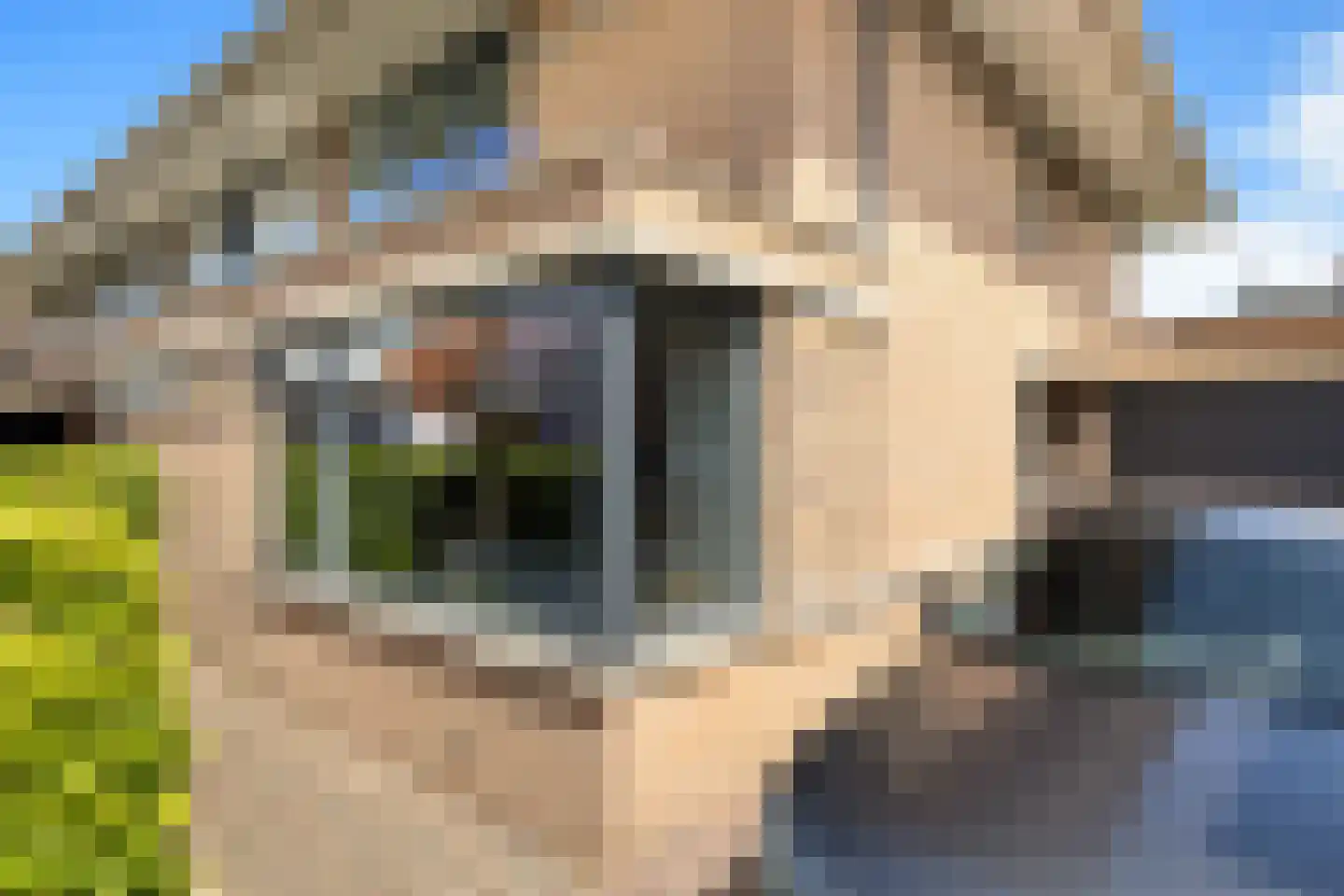 Noordeinde 28 Oostzaan thumbnail 6