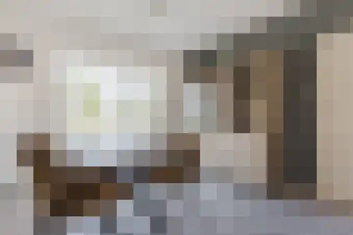 Noordeinde 28 Rijnsburg thumbnail 10