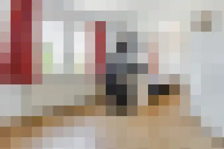 Noordeinde 28 Rijnsburg thumbnail 22