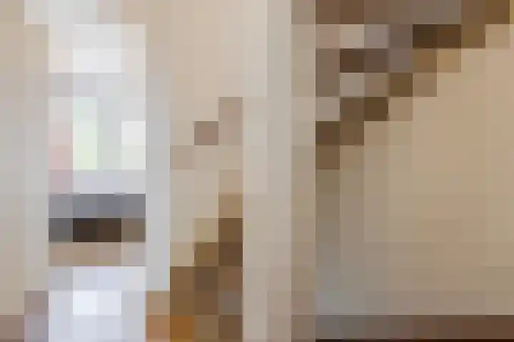 Noordeinde 28 Rijnsburg thumbnail 31