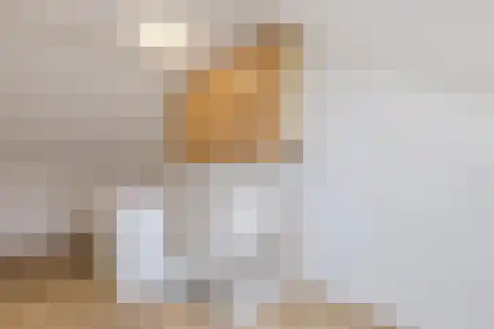 Noordeinde 28 Rijnsburg thumbnail 39