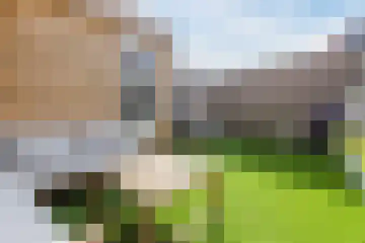 Noordeinde 28 Rijnsburg thumbnail 42