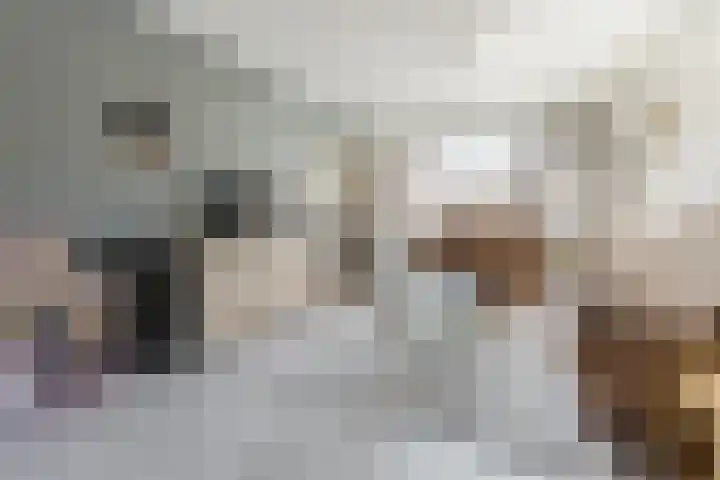 Noordeinde 28 Rijnsburg thumbnail 7