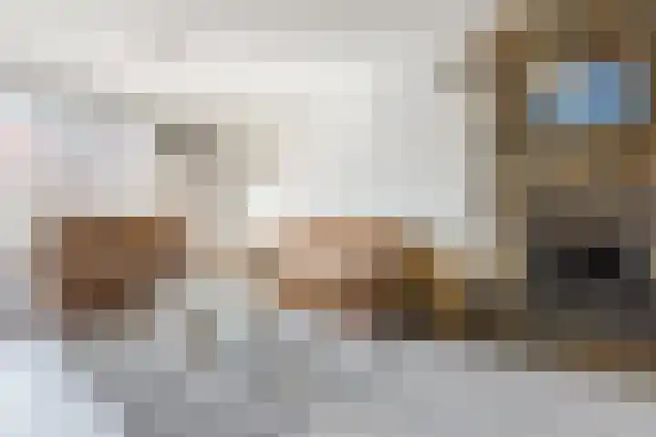 Noordeinde 28 Rijnsburg thumbnail 8