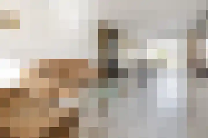 Noordeinde 28 Rijnsburg thumbnail 9