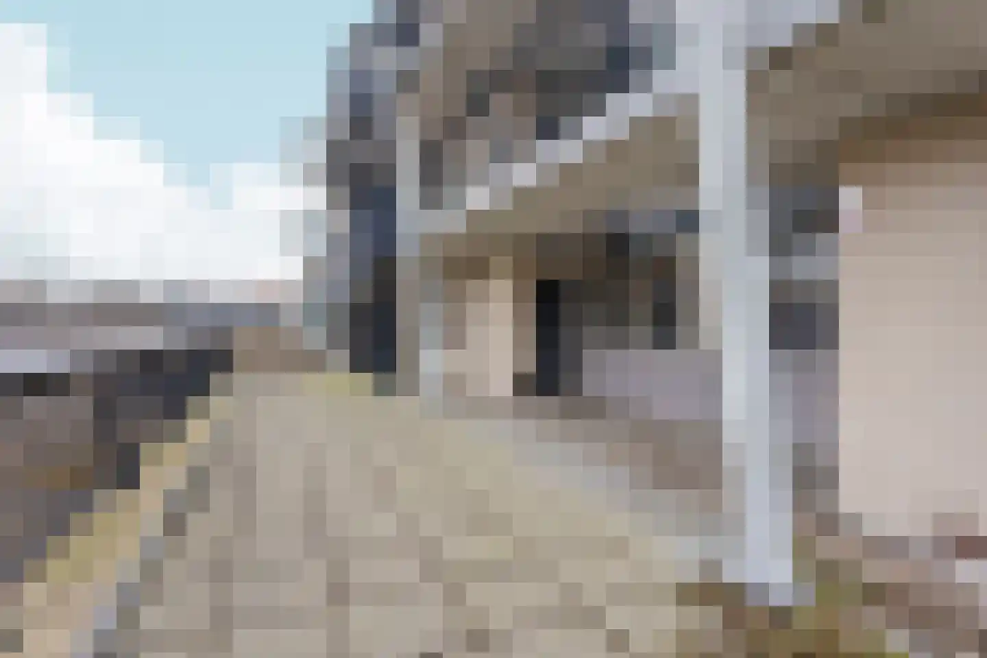 Noordeinde 283 Almere thumbnail 7