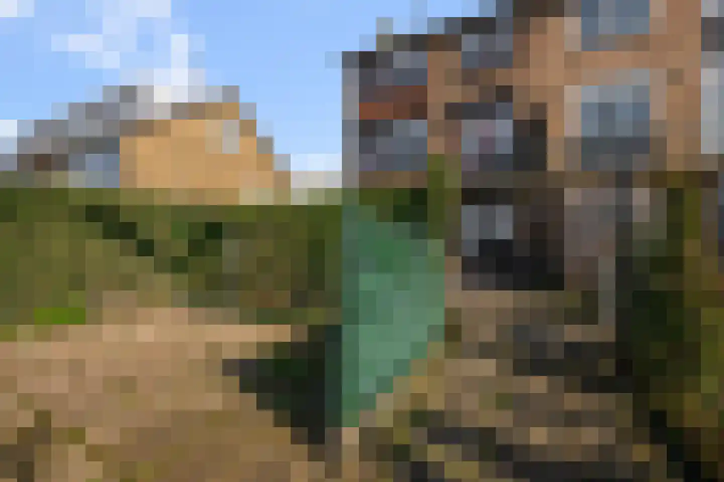 Noordeinde 3 A Zevenhoven thumbnail 22