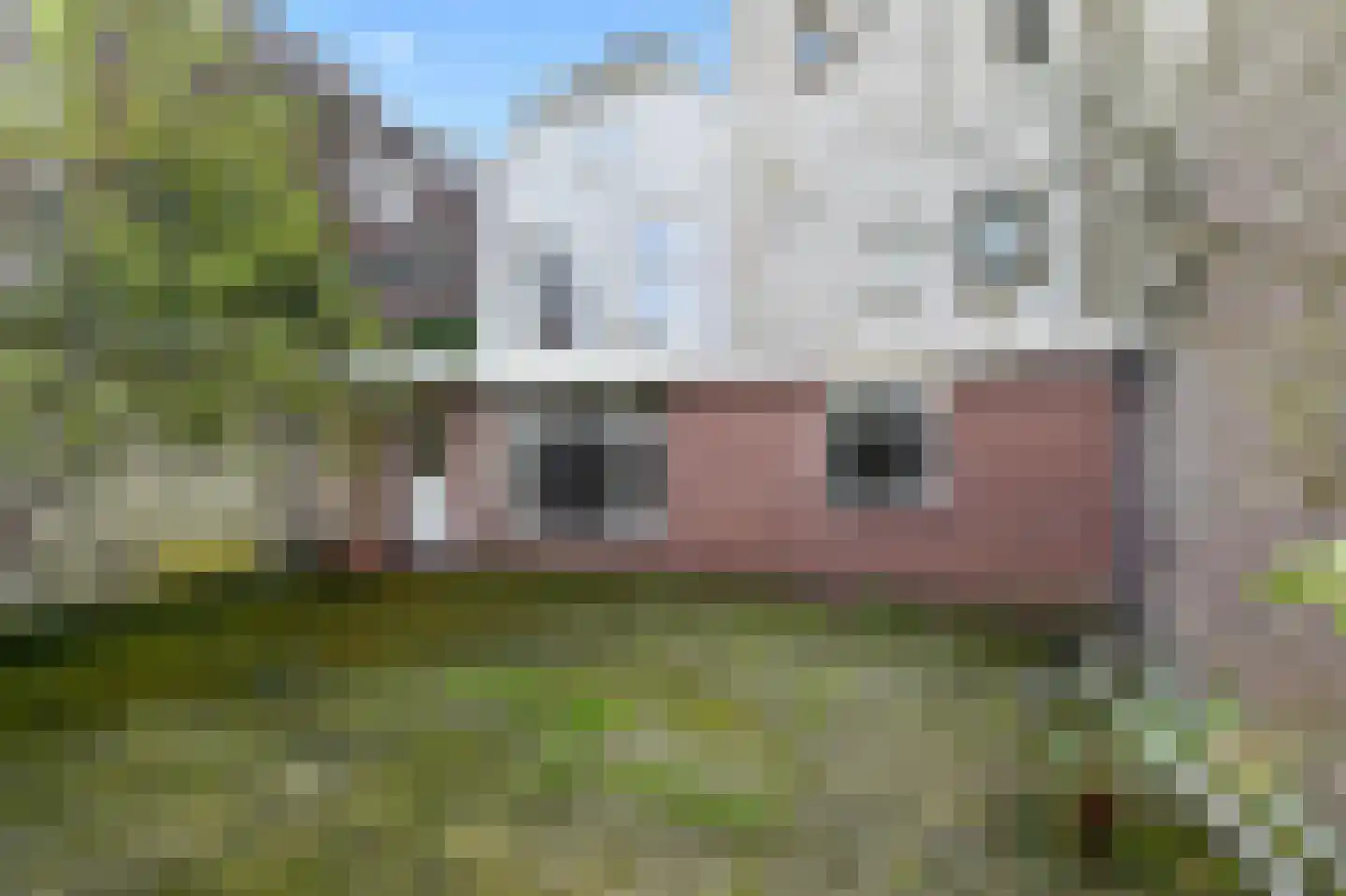 Noordeinde 32 C Leiden thumbnail 18
