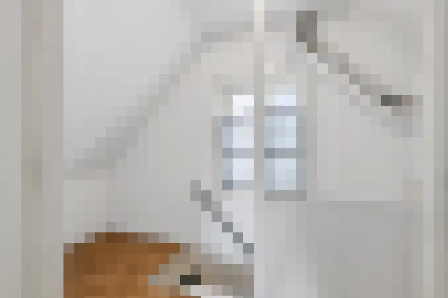 Noordeinde 32 D Leiden thumbnail 16
