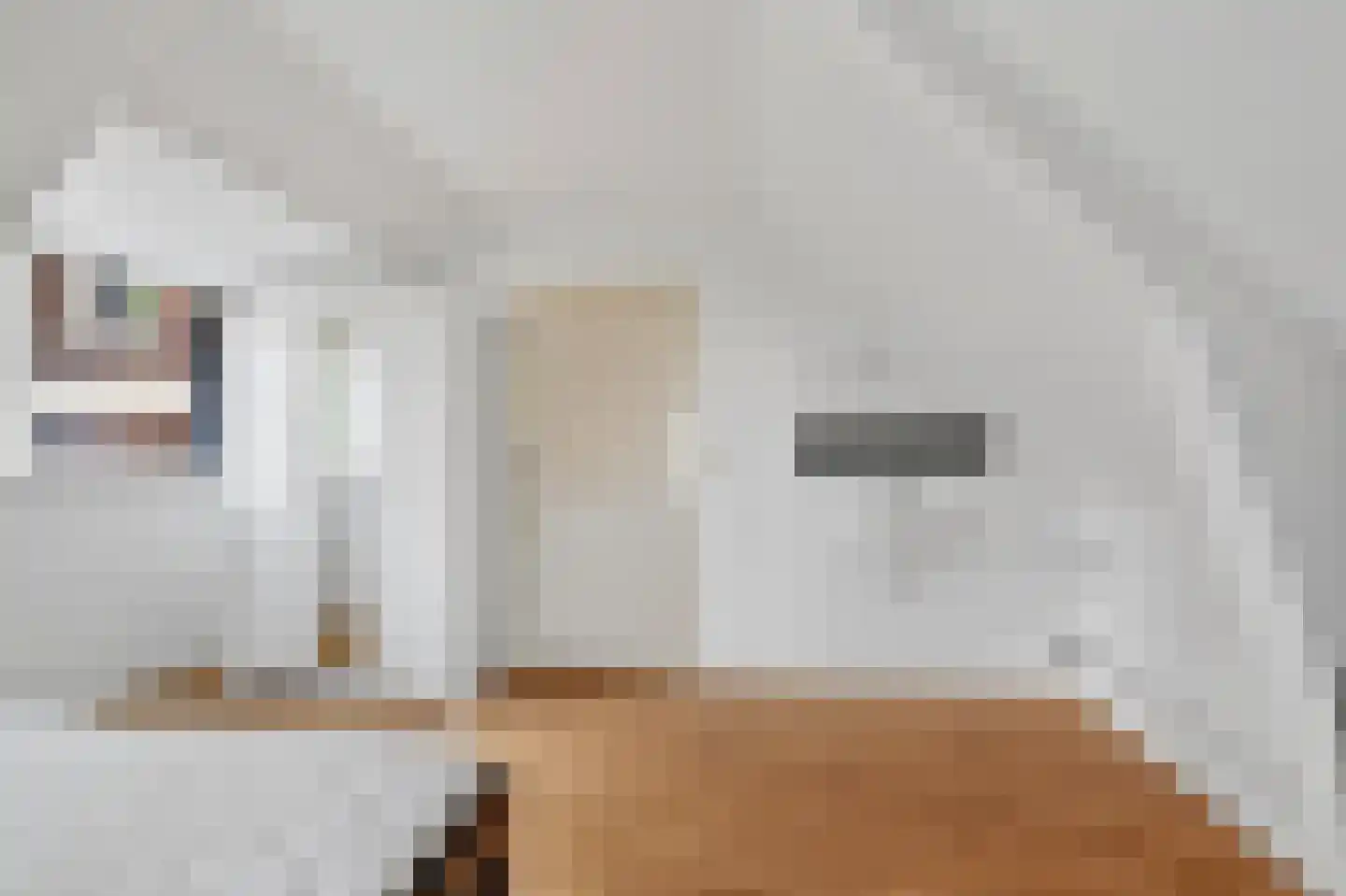 Noordeinde 32 D Leiden thumbnail 18