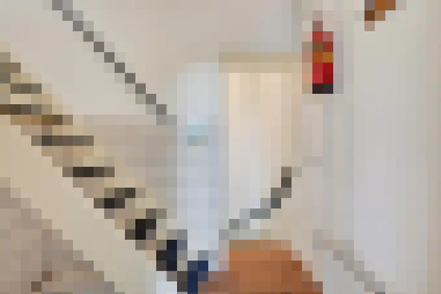 Noordeinde 32 D Leiden thumbnail 8