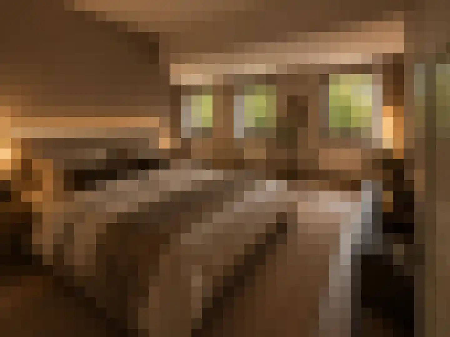 Noordeinde 32 Volendam thumbnail 41
