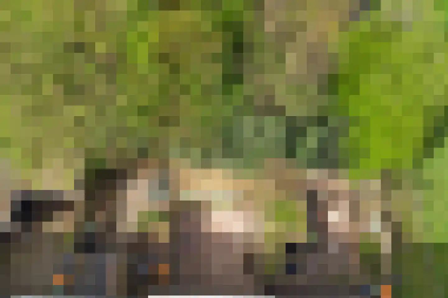 Noordeinde 32 Waddinxveen thumbnail 30