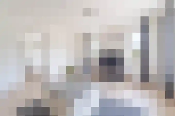 Noordeinde 333 Boskoop thumbnail 10