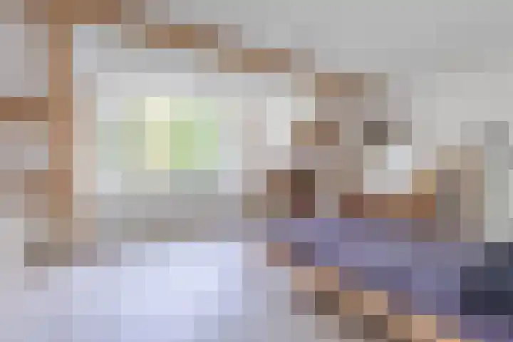 Noordeinde 333 Boskoop thumbnail 13
