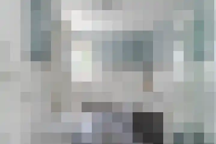 Noordeinde 333 Boskoop thumbnail 15