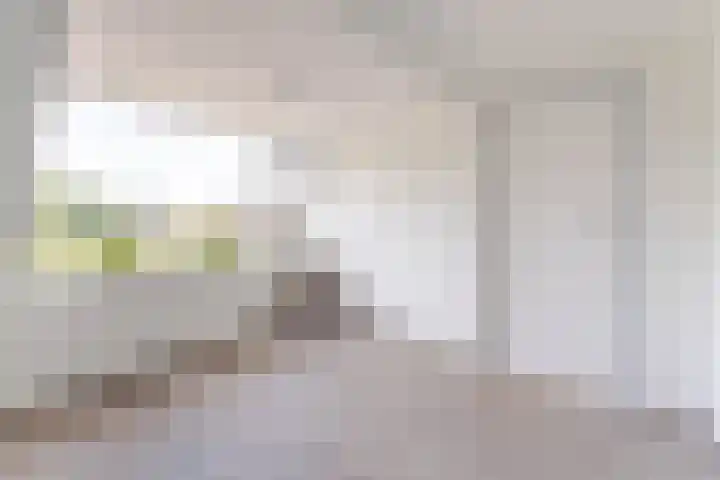 Noordeinde 333 Boskoop thumbnail 17