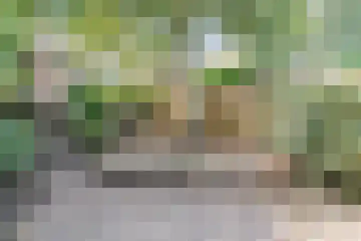 Noordeinde 333 Boskoop thumbnail 19