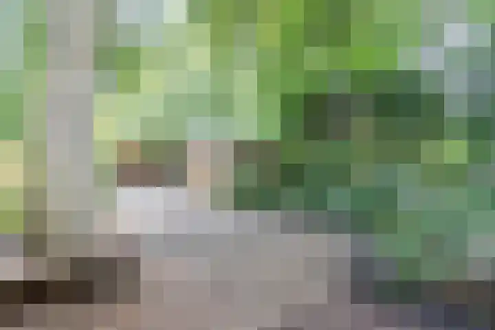 Noordeinde 333 Boskoop thumbnail 20