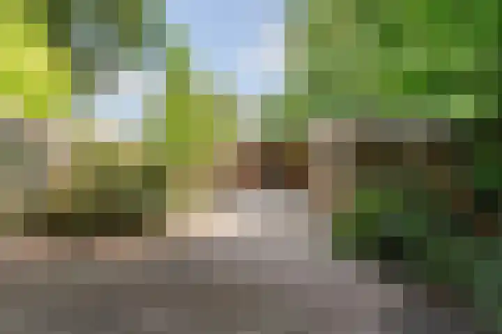 Noordeinde 333 Boskoop thumbnail 21