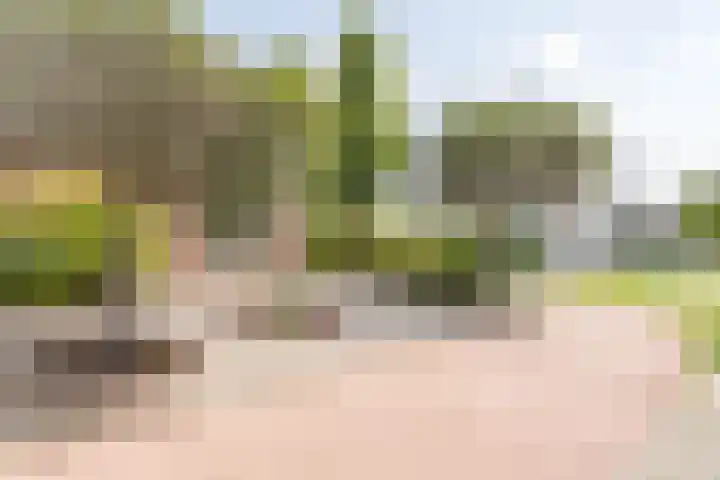 Noordeinde 333 Boskoop thumbnail 22