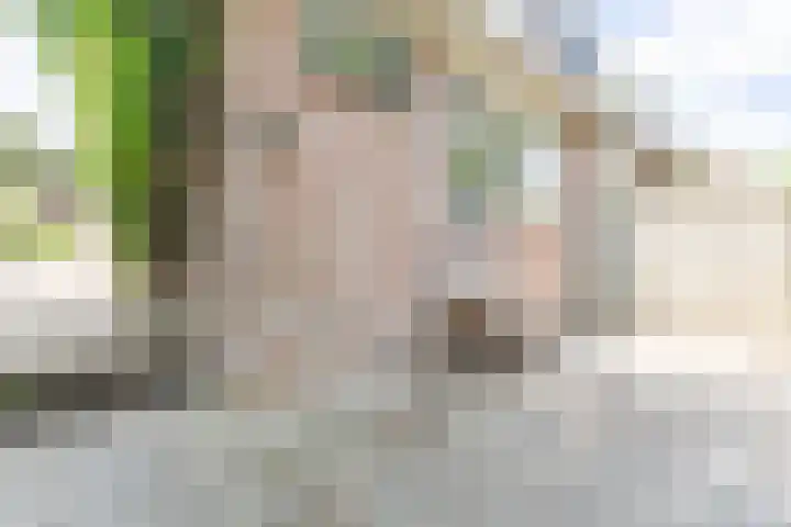 Noordeinde 333 Boskoop thumbnail 4