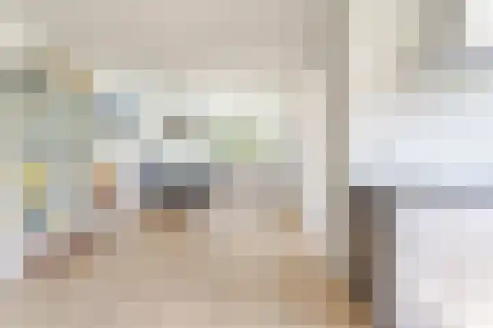 Noordeinde 333 Boskoop thumbnail 5