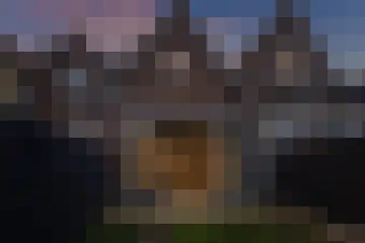 Noordeinde 34 Monnickendam thumbnail 5