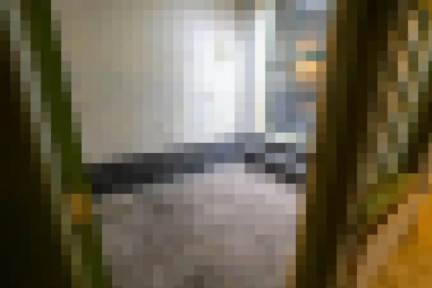 Noordeinde 35 Leiden thumbnail 16