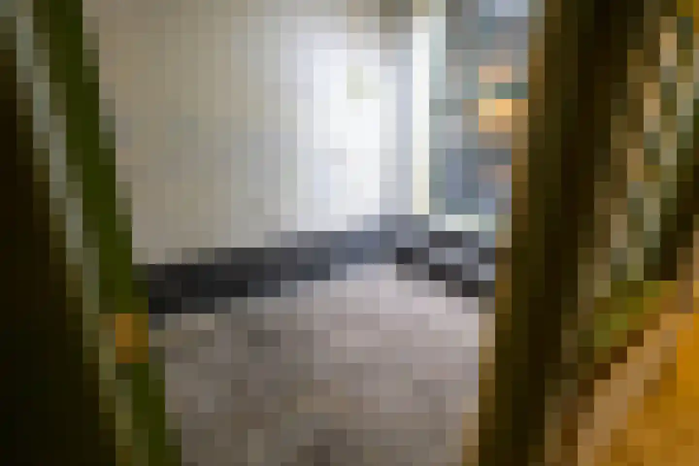 Noordeinde 35 Leiden thumbnail 19